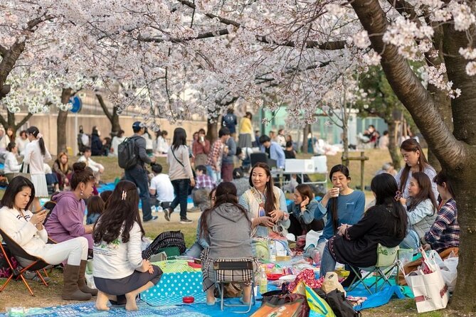 Osaka Cherry Blossom Tour With a Local: 100% Personalized Private - Personalized Tour Experience Guaranteed