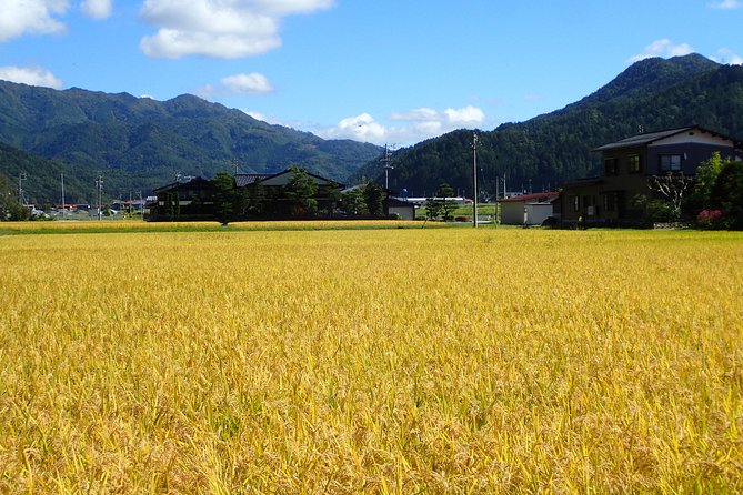 Private Afternoon Cycling Tour in Hida-Furukawa - Cycling Through Rural Landscapes