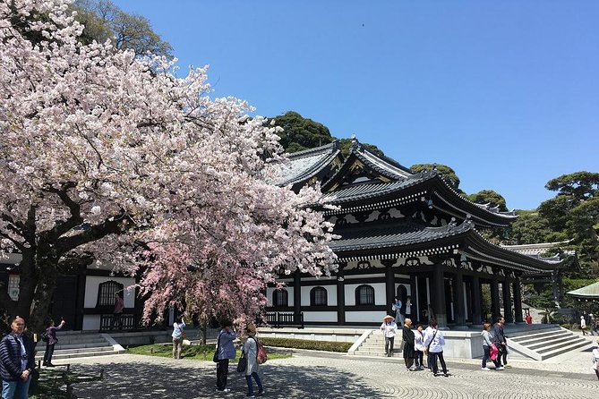 Private Car Tour to See Highlights of Kamakura, Enoshima, Yokohama From Tokyo - Exploring Kamakuras Temples