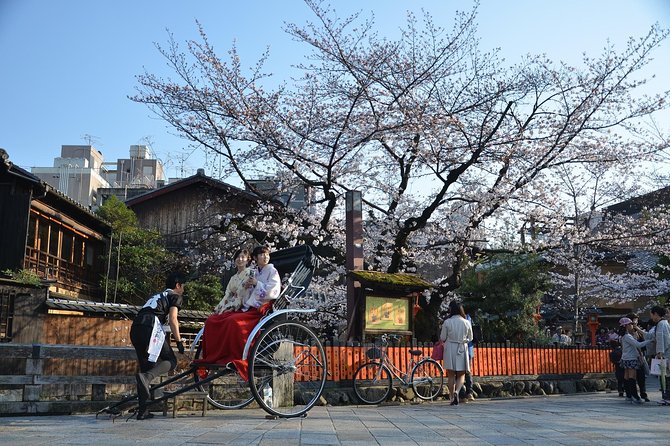 Private & Unique Kyoto Cherry Blossom Sakura Experience - What to Expect From Your Tour