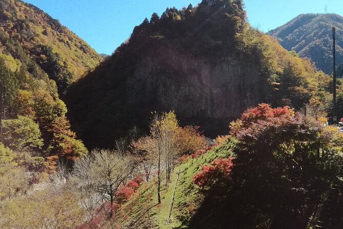 Rivers Run Through Hida and Osakacho E-Bike Tour - Tour Highlights and Itinerary