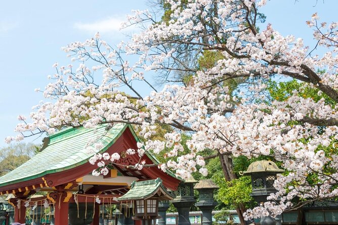 Secret Food Tours Tokyo W/ Private Tour Option - Private Tour Perks and Benefits