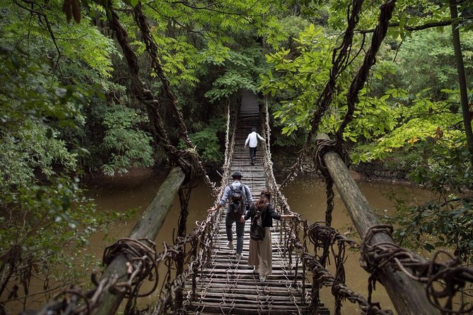 Takamatsu Half-Day Private Tour With Government-Licensed Guide - Customizing Your Half-Day Adventure