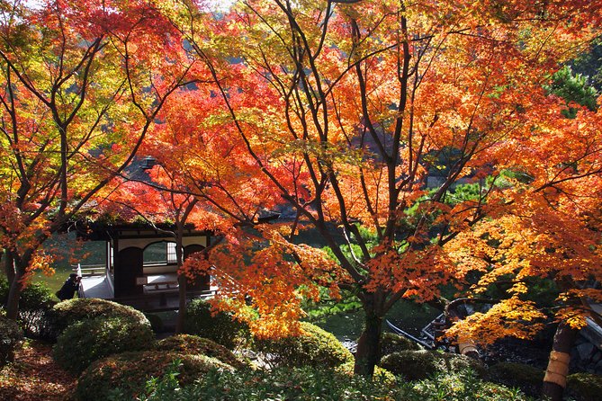 The Best of Wakayama City Private Tour - Tour Highlights and Inclusions