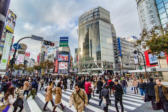 Tokyo 6hr Instagram Highlights Private Tour With Licensed Guide - Licensed Guide Expertise Matters