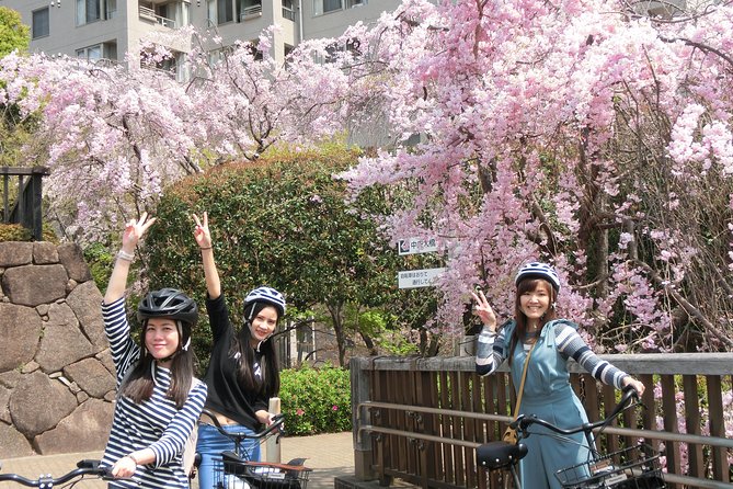 Tokyo Cherry Blossoms Blooming Spots E-Bike 3 Hour Tour - Meeting and Ending Points