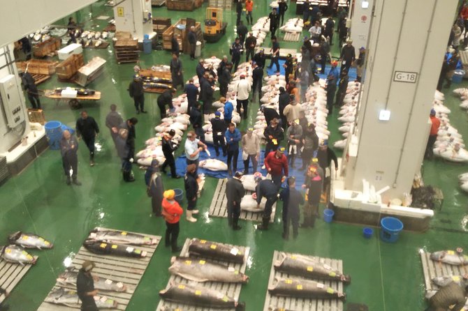 Tuna Auction at Toyosu Market With Qualified Guide and Early Morning Tour of Tsukiji Outer Market - Toyosu Market Tuna Auction Experience