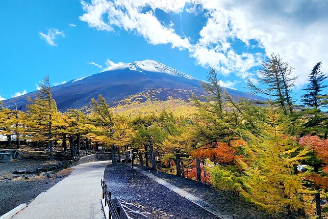 1 Day Private Mount Fuji Tour With English Speaking Driver - Accessibility and Amenities