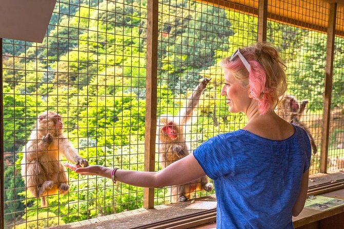 1-Day Private Snow Monkey ZenkoJi Temple & SakeTasting NaganoTour - Private Transportation and Guide