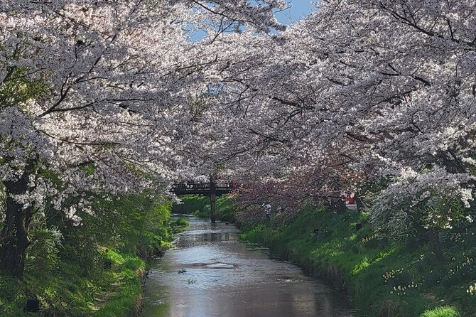 1 Day Tour Mt Fuji,Lake Kawaguchiko With English Speaking Guide - Real Reviews From Past Guests