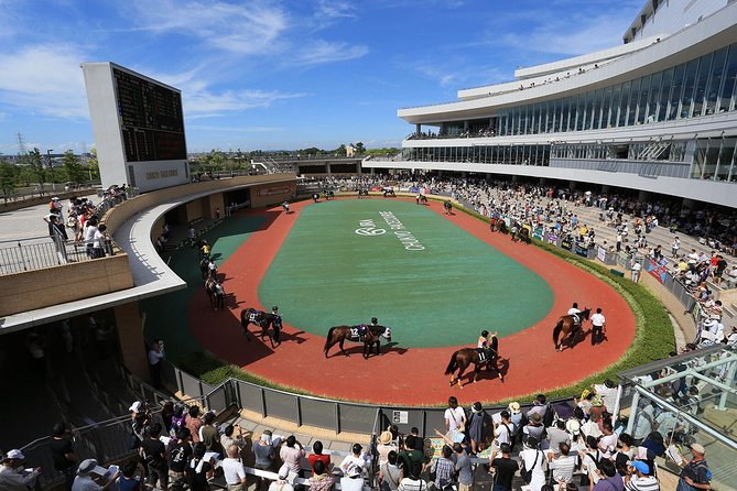 A Tour to Enjoy Japanese Official Gambling (Horse Racing, Bicycle Racing, Pachinko) - Discovering Pachinkos Popularity