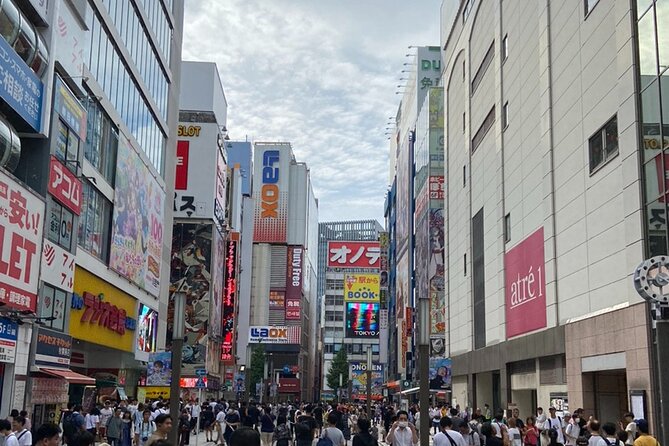 Anime, Manga, Game & Maid Cafe Tour in Akihabara - Maid Cafe Experience Like No Other