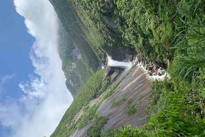 Discovery of Yakushima - Immersive Experiences and Activities