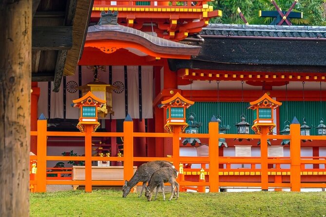 Explore the Best Spots of Arashiyama / Nara in a One Day Private Tour From Kyoto - Convenient Pickup and Dropoff