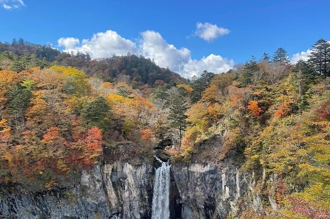 Full Day Nikko Private Tour With English Speaking Guide. - Additional Tour Information Details