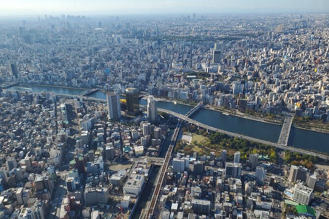 Full Day Tokyo Personalized Private Sightseeing W/English Driver - Your English Speaking Driver