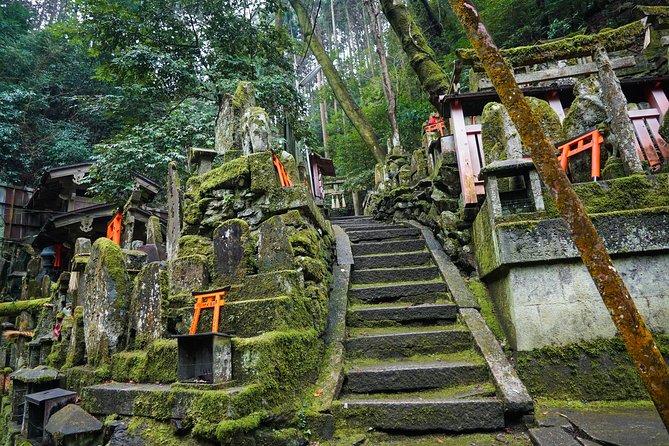 Fushimi Inari Hidden Hiking Tour - Meeting Your Guide and Team