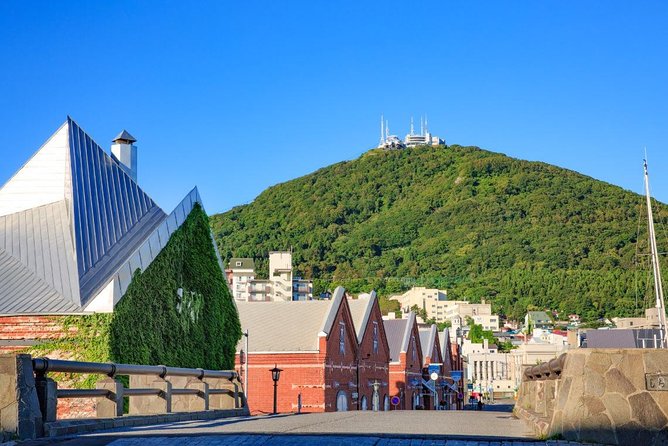 Hakodate Half-Day Private Tour With Government-Licensed Guide - Accessibility and Transportation