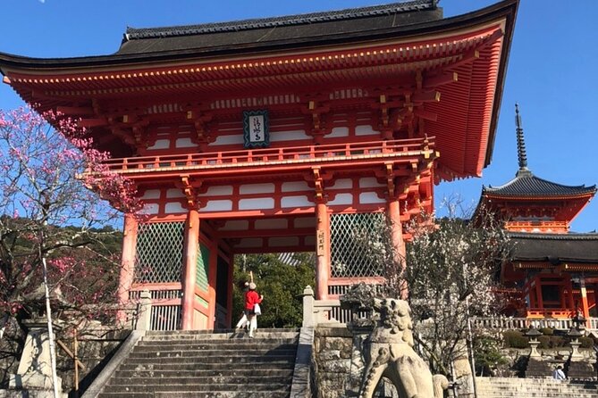 Hidden Gems, Kiyomizu-Temple and Fushimi-Inari Half Day Private - Meeting and Pickup Details