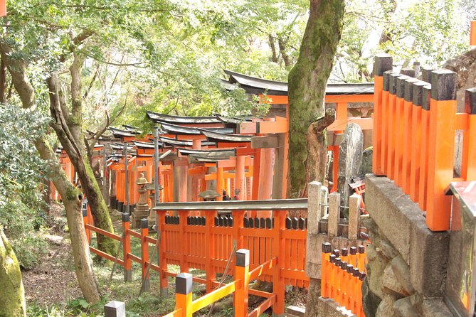 Inside of Fushimi Inari - Exploring and Lunch With Locals - Lunch With the Locals Experience