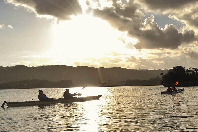 Kayak Mangroves or Coral Reef: Private Tour in North Okinawa - Safety First With Expert Guidance