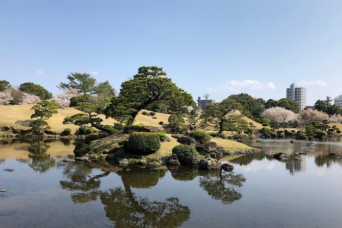 Kumamoto Half-Day Private Tour With Government-Licensed Guide - Inclusions and Exceptions