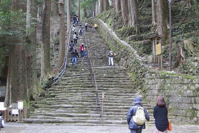 Kumano Kodo Half Day Daimonzaka and Nachi Taisha Tour - Tour Logistics and Operations