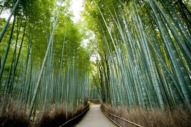 Kyoto Arashiyama Rickshaw Tour With Bamboo Forest - Rickshaw Ride Experience Details