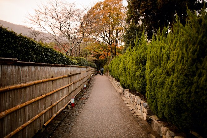 Kyoto Bamboo Forest Electric Bike Tour - Safety Guidelines and Rules