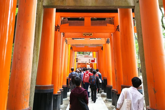 Kyoto Early Riser Golden One-Day Tour - What to Expect From the Tour