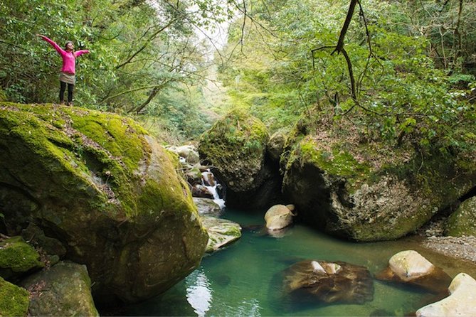 Miyazaki Valley Waterfall Hike - Hiking to the Waterfalls