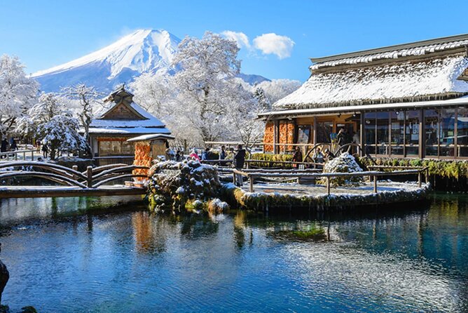 Mount Fuji & Hokane Lakes With English-Speaking Guide - Itinerary and Schedule Details