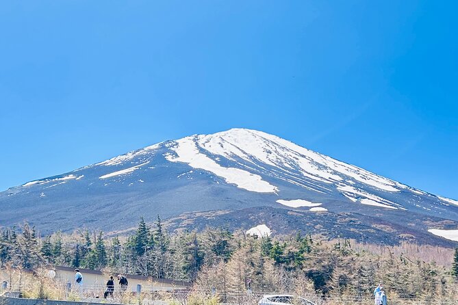 Mount Fuji Private One Day Tour With English Speaking Driver - What to Expect on Tour