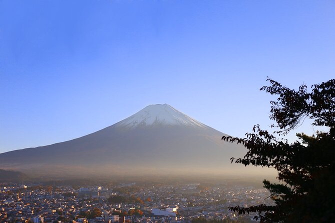 Mt. Fuji and Lake Kawaguchi Day Trip With Private Car - Pricing and Booking Options