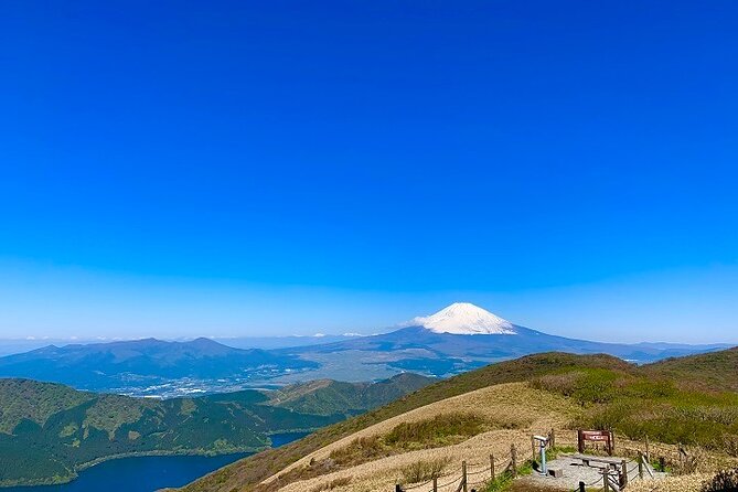 Mt. Fuji & Hakone 1 Day Bus Tour From Tokyo Station Area - Health and Safety Guidelines