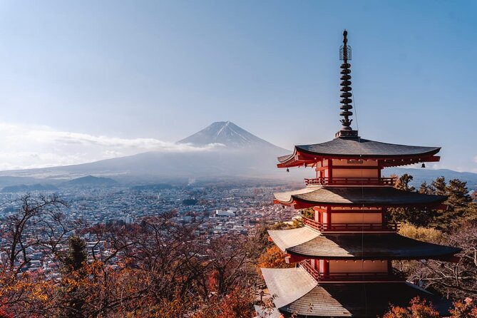 Mt Fuji, Hakone Private Tour by Car With Pickup - Driver and Vehicle Information