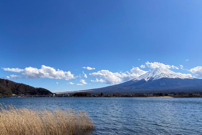 Mt Fuji Half-Day Tour By Car - Inclusions and Meeting Points