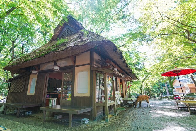 Nara Half Day Trip Walking Tour - Sights and Attractions Covered