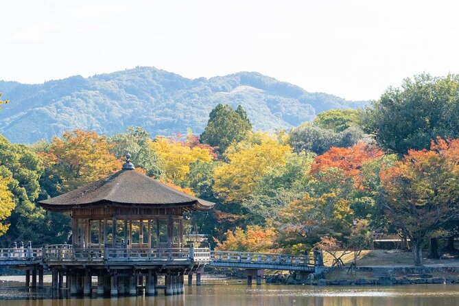 Nara : Private Day Walking Tour (From Osaka/Kyoto Possible) - What to Expect on the Tour