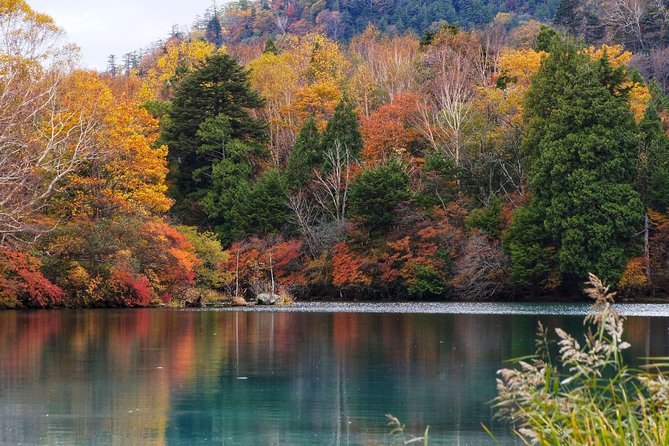 Nikko Custom Full Day Tour - Tour Accessibility and Requirements