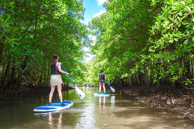 [Okinawa Iriomote] Sup/Canoe Tour in a World Heritage - Meeting and Pickup Details