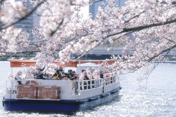 Osaka Cherry Blossom Tour With a Local: 100% Personalized Private - Exploring Hidden Gems With Locals