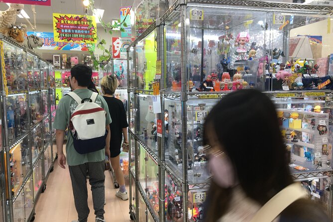 Private Akihabara Anime Guided Walking Tour - What to Expect on Tour