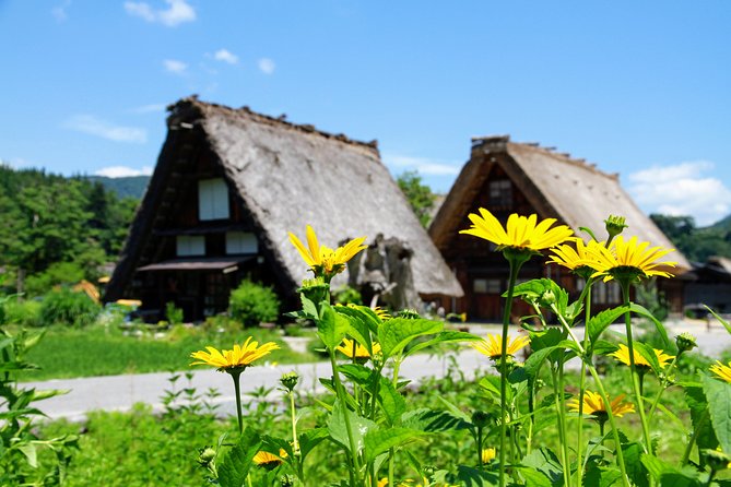 Private Tour of Shirakawago From Kanazawa (Half Day) - Pickup and Meeting Details