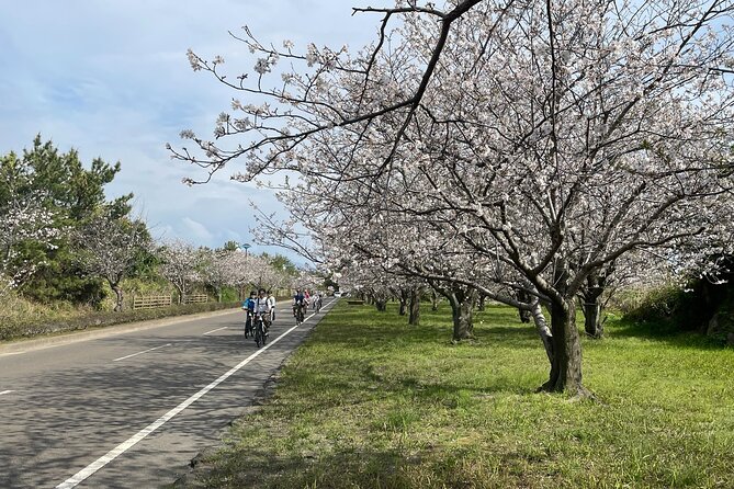 Sakurajima One Day Round Journey E-bike Tour - Sakurajima Scenic Route