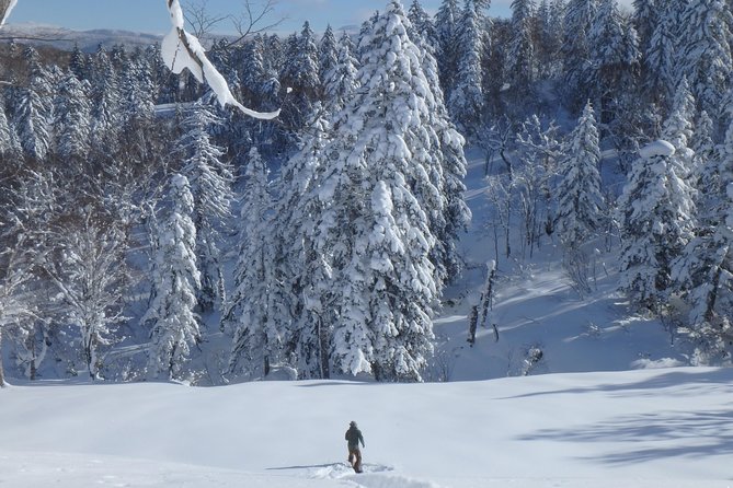 Snowshoe Hike Tour From Sapporo - Important Health and Safety Notes