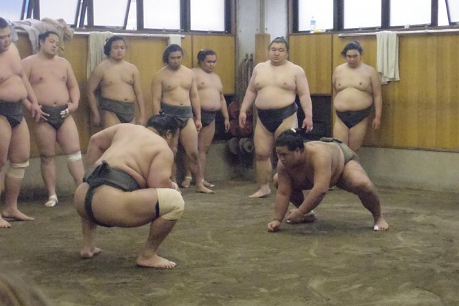 Tokyo Sumo Morning Practice Tour at Stable - Morning Practice Session Insights