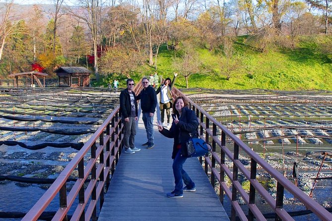 Wasabi Farm Discovery Walking Tour - Logistics and Accessibility