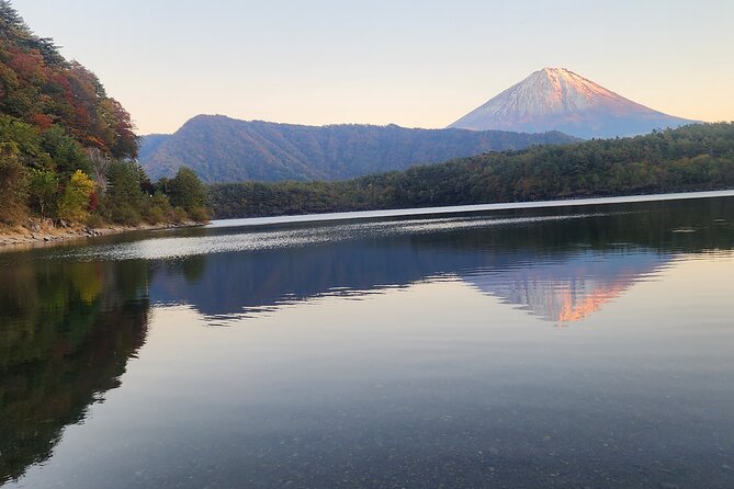 1 Day Private Mount Fuji Tour With English Speaking Driver - Customer Reviews and Ratings