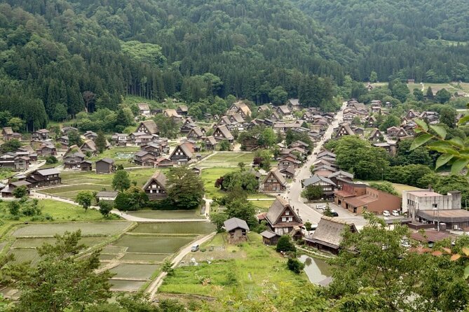 1-Day Takayama Tour: Explore Scenic Takayama and Shirakawago - Meeting Your Guide and Group